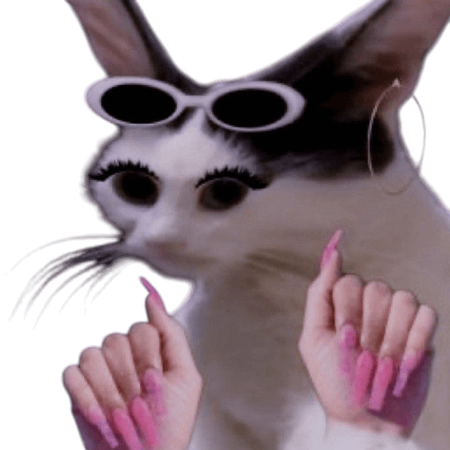 кот