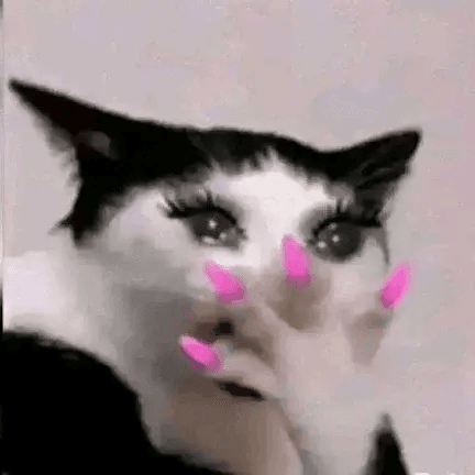 кот